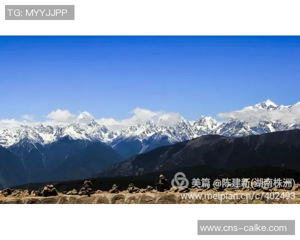 秘鲁足球队崛起之路探索与挑战的精彩旅程